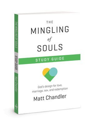 bokomslag Chandler, M: Mingling of Souls Study Guide