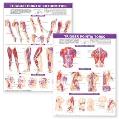 bokomslag Trigger Point Chart Set: Torso & Extremities Paper