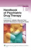 Lawrence A. Labbate, Maurizio Fava, Jerrold F. Rosenbaum - Handbook of Psychiatric Drug Therapy, Häftad
