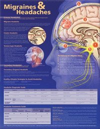 bokomslag Migraines And Headaches Anatomical Chart