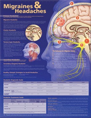 Migraines And Headaches Anatomical Chart 1