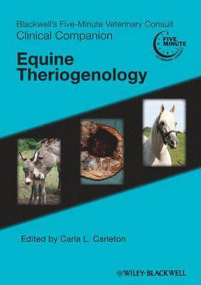 Carla L. Carleton - Blackwell's Five-Minute Veterinary Consult Clinical Companion, Häftad