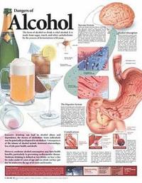 bokomslag Dangers of Alcohol Anatomical Chart