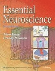 bokomslag Essential Neuroscience