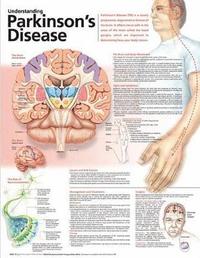 bokomslag Understanding Parkinson's Disease Anatomical Chart