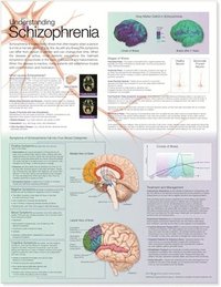 bokomslag Understanding Schizophrenia Anatomical Chart