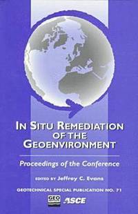 bokomslag In-situ Remediation of the Geoenvironment