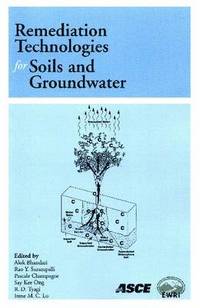 bokomslag Remediation Technologies for Soils and Groundwater