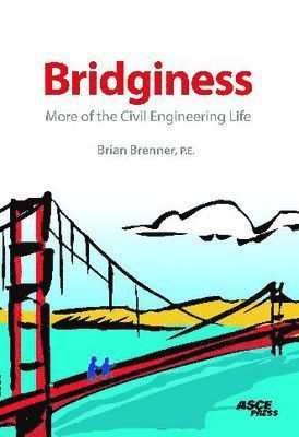 bokomslag Bridginess