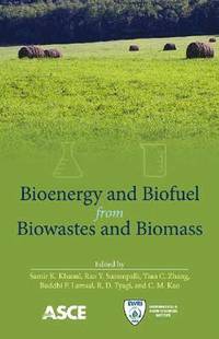 bokomslag Bioenergy and Biofuel from Biowastes and Biomass