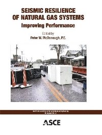 bokomslag Seismic Resilience of Natural Gas Systems