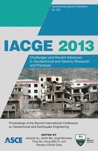bokomslag IACGE 2013