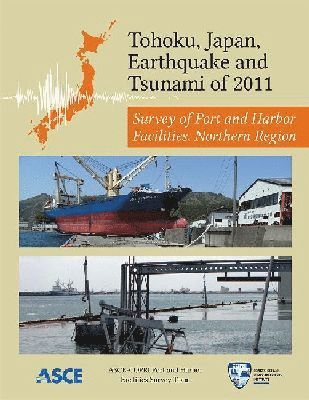 bokomslag Tohoku, Japan, Earthquake and Tsunami of 2011