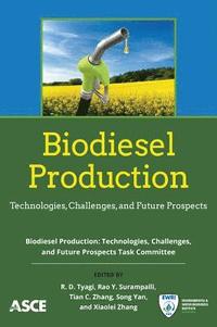 bokomslag Biodiesel Production