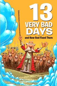 bokomslag 13 Very Bad Days and How God Fixed Them