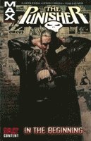 bokomslag Punisher Max Vol.1: In The Beginning