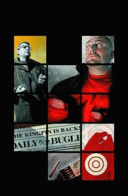 Daredevil Vol.13: The Murdock Papers, Häftad