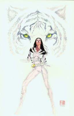 White Tiger: A Hero's Compulsion