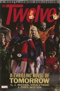 bokomslag Twelve