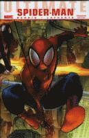 bokomslag Ultimate Comics Spider-man: The World According To Peter Parker