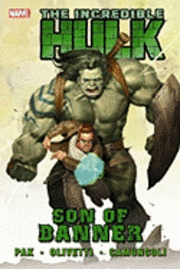 Incredible Hulk Vol.1: Son of Banner