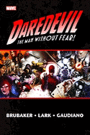 bokomslag Daredevil By Ed Brubaker & Michael Lark Vol.2
