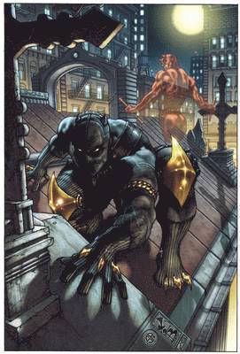 Black Panther: The Man Without Fear Volume 1