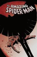 bokomslag Spider-Man: The Gauntlet Volume 3 - Vulture & Morbius