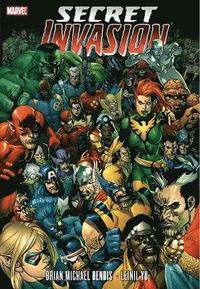 bokomslag Secret Invasion
