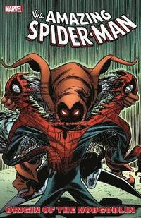 bokomslag Spider-man: Origin Of The Hobgoblin