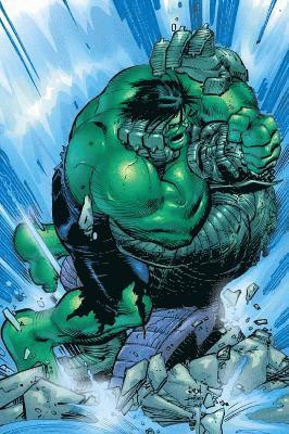 Incredible Hulk: Past Perfect 1