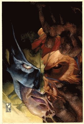 bokomslag Wolverine: Sabretooth Reborn