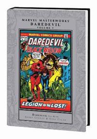 bokomslag Marvel Masterworks: Daredevil Volume 9