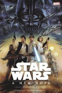 bokomslag Star Wars: Episode IV: A New Hope