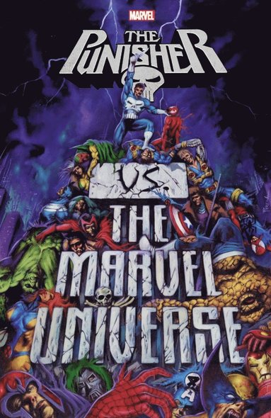 bokomslag Punisher vs. the Marvel Universe