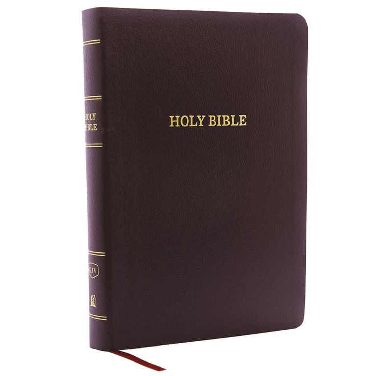 Thomas Nelson - KJV Holy Bible: Giant Print with 53,000 Cross References, Burgundy Bonded Leather, Red Letter, Comfort Print: King James Version, Inbunden
