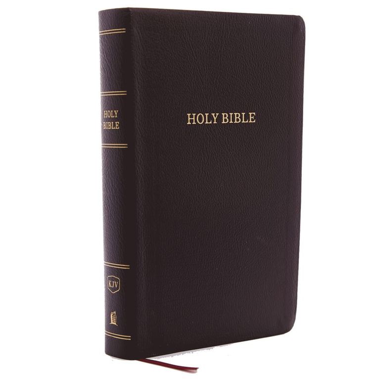 Thomas Nelson, Thomas Nelson - KJV Holy Bible: Personal Size Giant Print with 43,000 Cross References, Burgundy Bonded Leather, Red Letter, Comfort Print (Thumb Indexed): King James Version, Inbunden