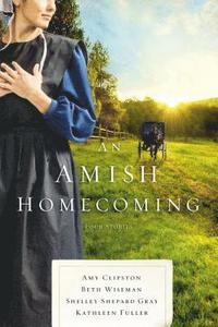 bokomslag An Amish Homecoming