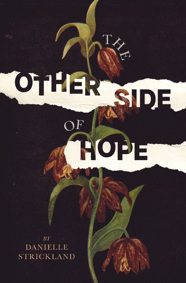 Danielle Strickland - Other Side of Hope, Häftad