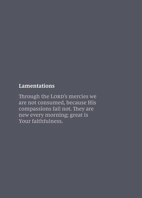 Sewn Smyth - NKJV Bible Journal - Lamentations Softcover, Häftad