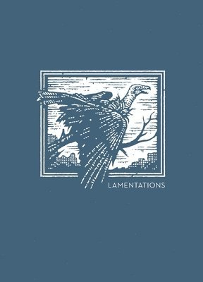 NET Abide Bible Journal - Lamentations, Paperback, Comfort Print Softcover 1