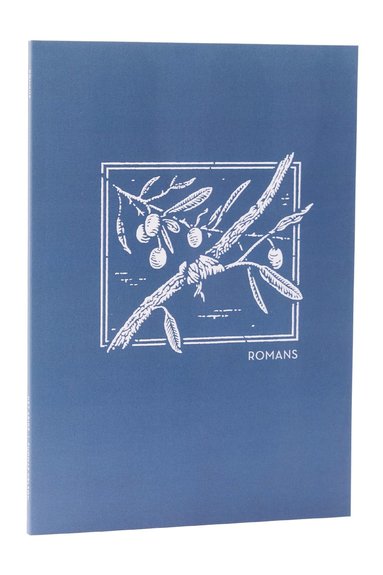bokomslag NET Abide Bible Journal - Romans, Paperback, Comfort Print