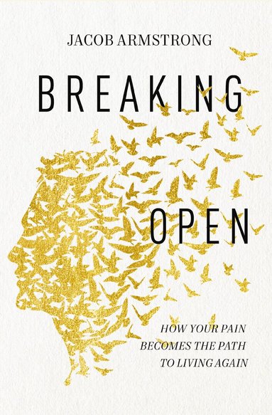 Jacob Armstrong - Breaking Open, Häftad