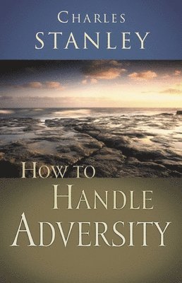 bokomslag How to Handle Adversity