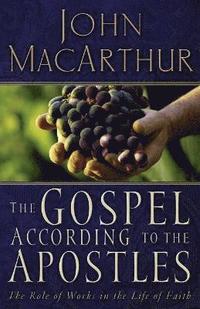 bokomslag Gospel According to the Apostles