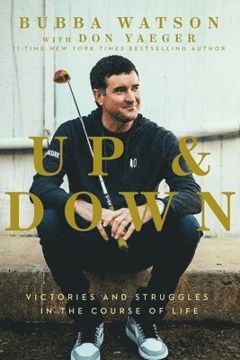 bokomslag Up and Down: Victories and Struggles in the Course of Life