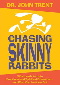 bokomslag Chasing Skinny Rabbits