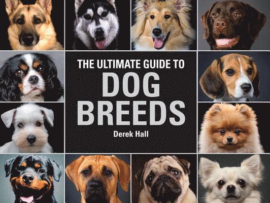 The Ultimate Guide to Dog Breeds