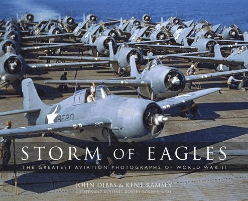 John Dibbs, Robert “Cricket” Renner, USAF (Ret.) Lt. Col., Kent Austin Ramsey - Storm of Eagles, Inbunden