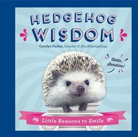 bokomslag Hedgehog Wisdom: Little Reasons to Smile